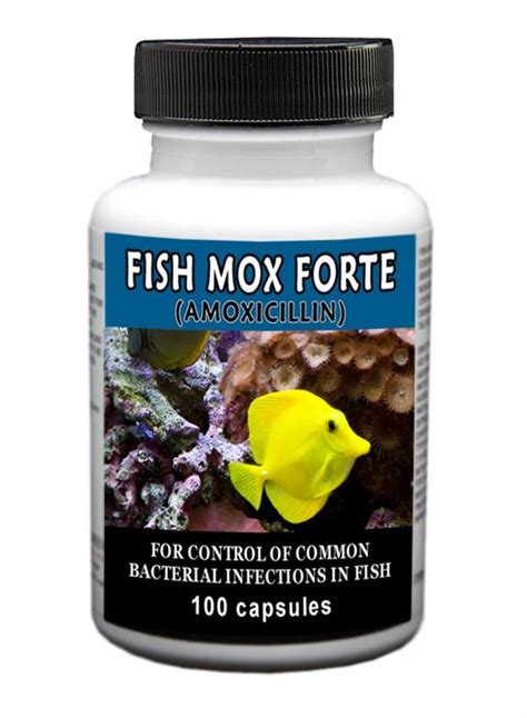 Fish Mox (Amoxicillin): What is it, Uses, Dosage, Ingredients